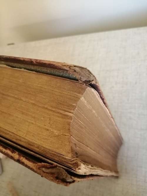 Pictorial History of the World 1877