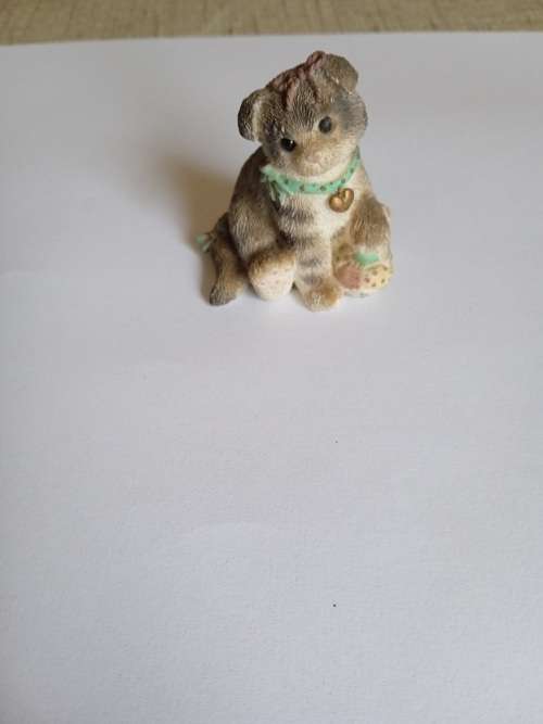 Scottish Fold 1997 Priscilla Hillman collection
