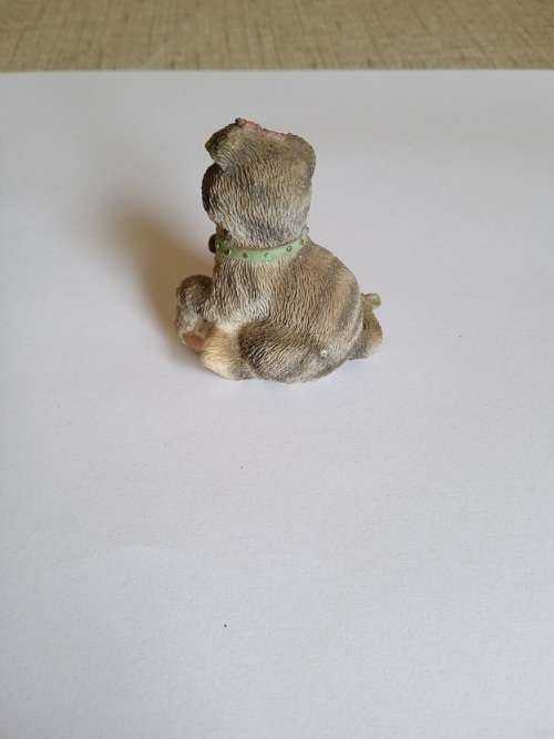 Scottish Fold 1997 Priscilla Hillman collection