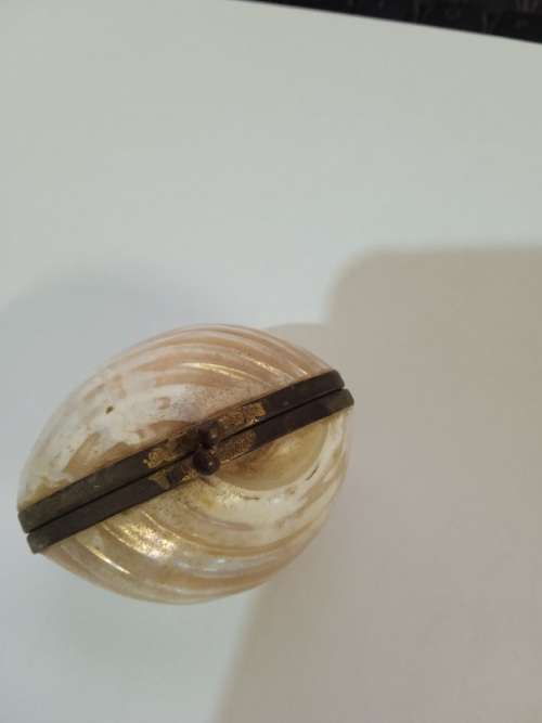 Lovely shell trinket/pill holder