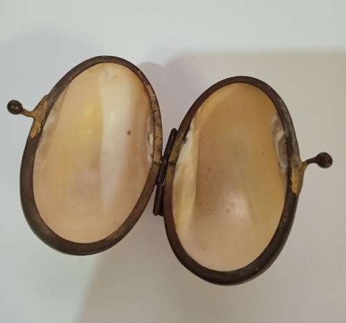 Lovely shell trinket/pill holder