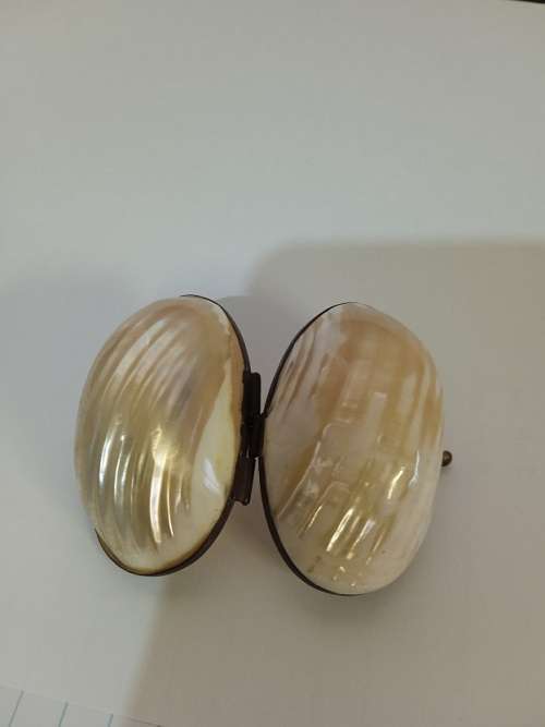 Lovely shell trinket/pill holder