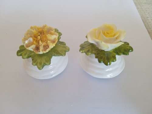 Aynsley salt and pepper shakers