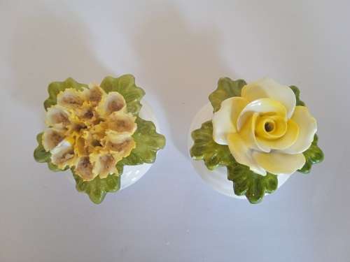 Aynsley salt and pepper shakers