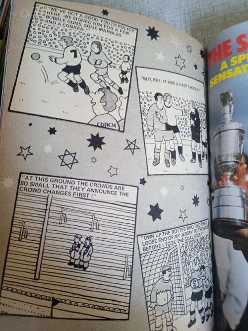 Tiger Annual 1981