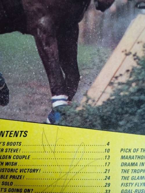 Tiger annual 1985