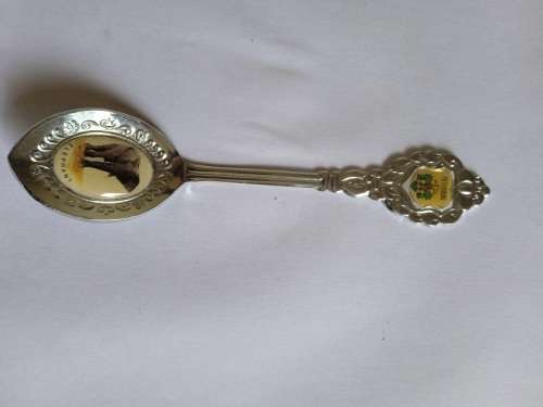 Collectors teaspoon from Pietersburg