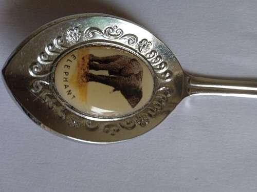 Collectors teaspoon from Pietersburg