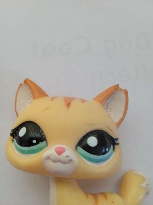 Littlest Pet Shop cat