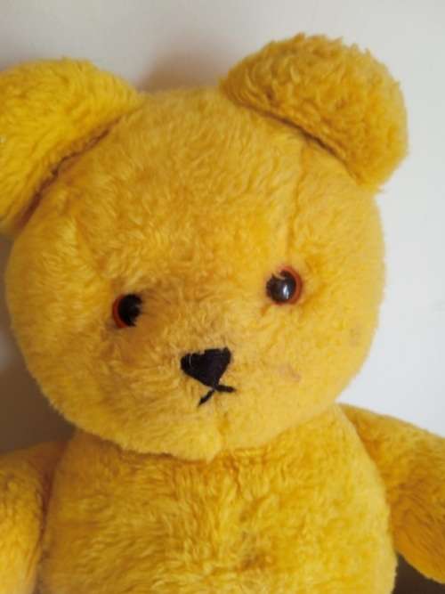 Vintage Ark Teddy