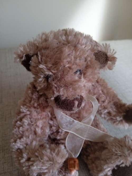 Vintage Teddie Bear
