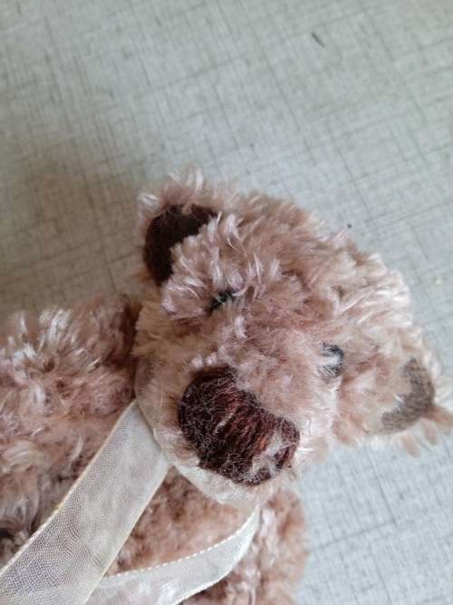 Vintage Teddie Bear