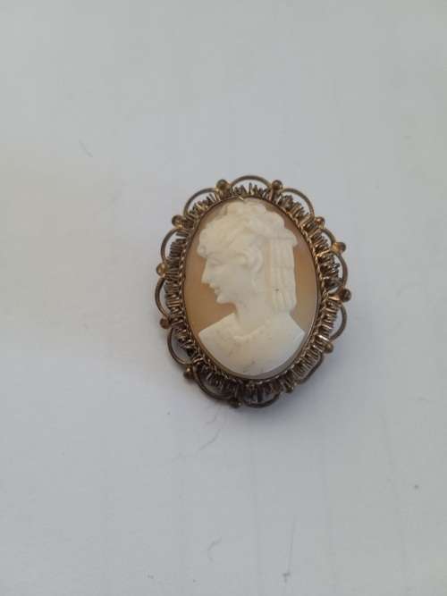 Cameo???? brooch no pin