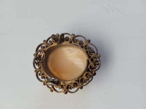 Cameo???? brooch no pin