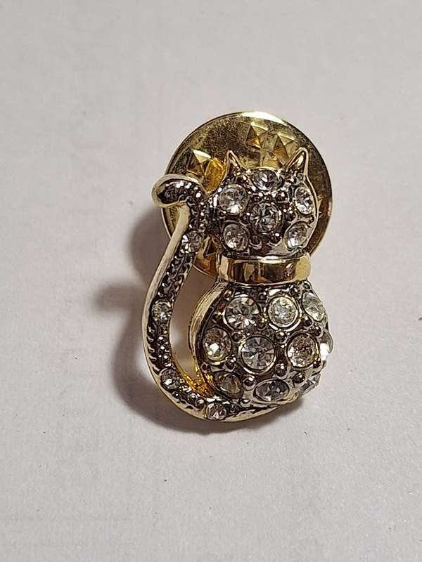 Cat lovers pin/brooch