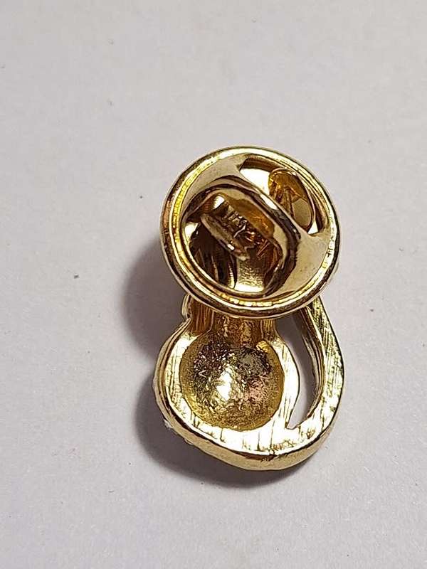 Cat lovers pin/brooch