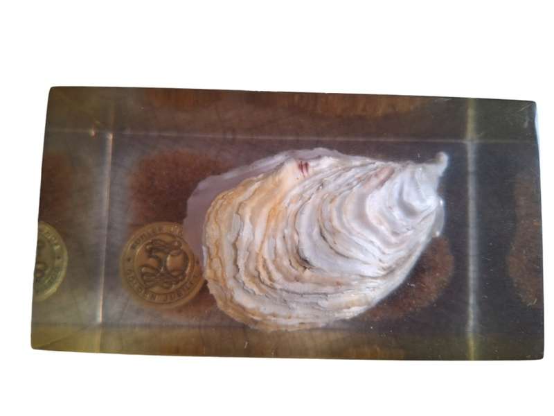 Lovely Resin paper weight