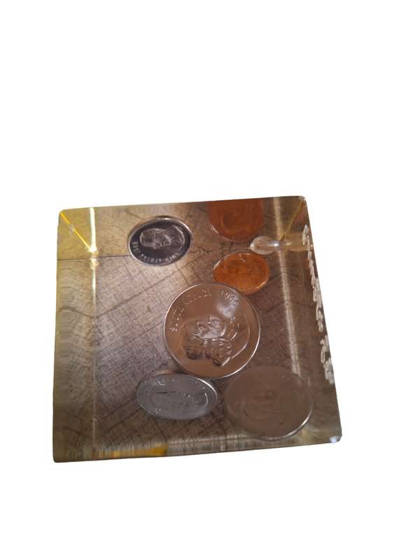 Resin paper weight