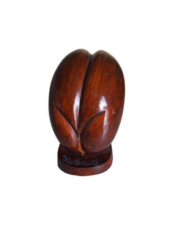 Rare Coco de Mer (Sea coconut)
