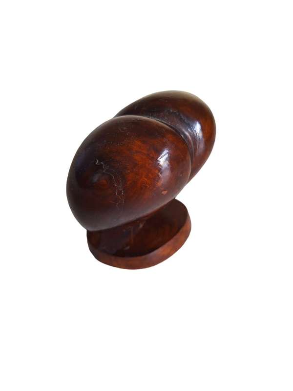 Rare Coco de Mer (Sea coconut)