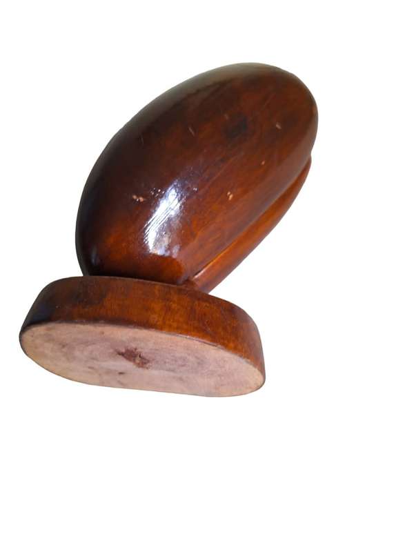 Rare Coco de Mer (Sea coconut)