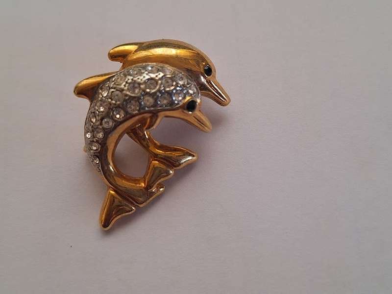 Dolphin brooch