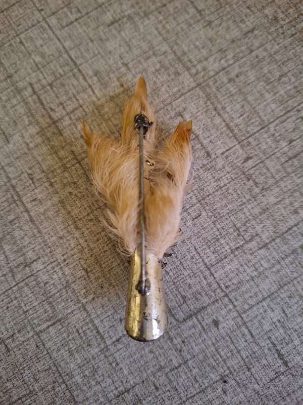 Grousefoot brooch