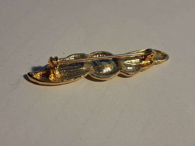 Unique brooch