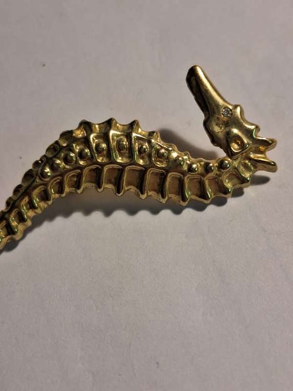 Seahorse brooch