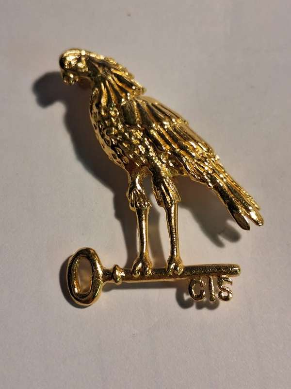 Eagle CIS brooch