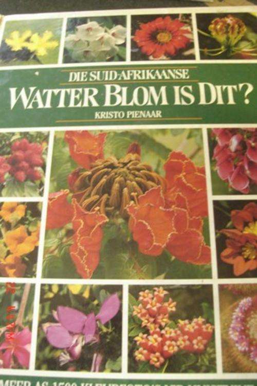 WATTER BLOM IS DIT