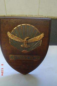 SA AIRFORCE GIMNASIUM EMBLEM ON WOODEN PLAQUE