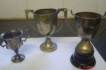 SELECTION OF TROPHIES