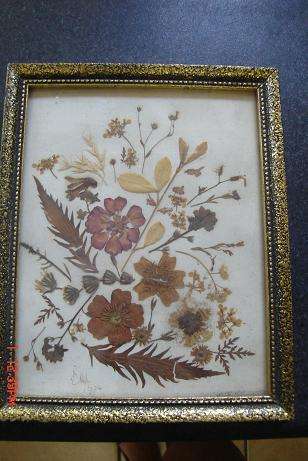 LOVELY PICTURE IN DRIED FLOWERS IN LOVELY FRAME