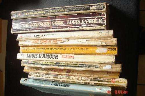 10 X LOUIS LAMOUR WESTERNS TO ADD TO YOUR COLLECTION