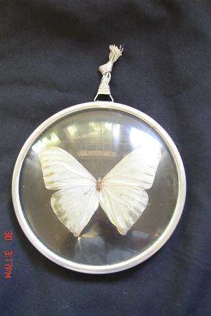 LOVELY FRAMED BUTTERFLY HANGING