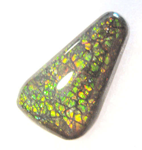 Ammolite~Rare 7.79 ct Brilliant Green/yellow/red Natural Gem Ammolite/Ammonite Gemstone