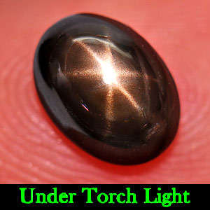 1.67 Ct.  Natural Gemstone Black 6 Rays Star Sapphire Oval Cab