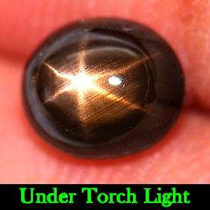 Unheated 1.78 Ct. Natural Gemstone Black Star Sapphire 6 Rays Oval Cabochon
