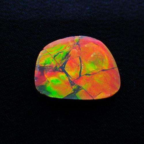 Ammolite~Rare 12 ct Brilliant Red/Green Natural Gem Ammolite/Ammonite Gemstone
