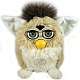 furby Adult