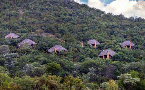 Mabalingwe Timeshare to rent: 30th June to 7th July 2017