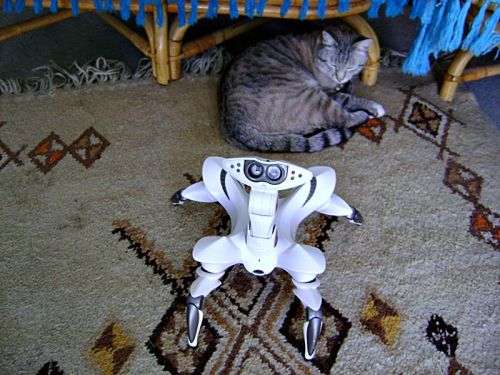 Roboquad by WowWee Robotics