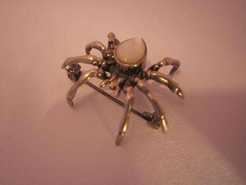 Silver spider brooch!