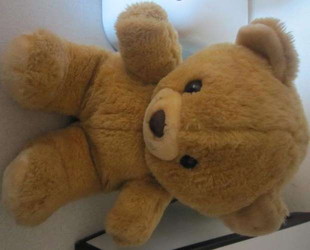 Chadvalley Teddy