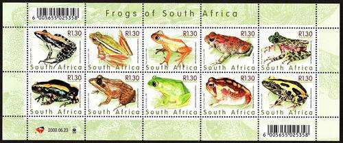 Sacc 1259-1268 Frogs of South Africa UMM
