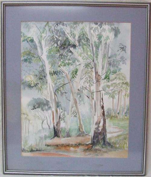 Framed Watercolour Painting of Bloekombome / Bluegum Trees