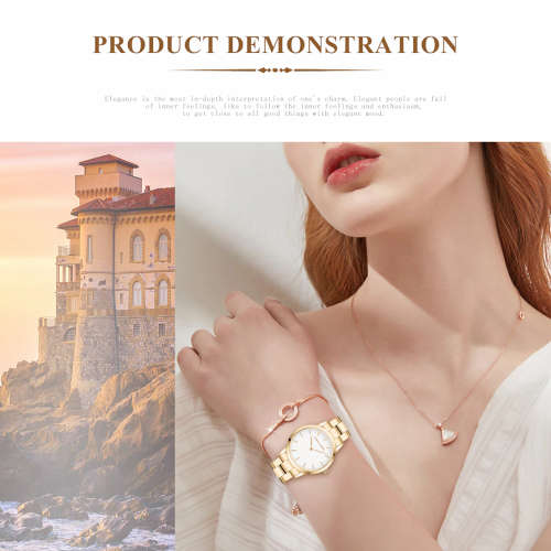 Hannah Martin Elegant Golden Stainless steel Womans Watch