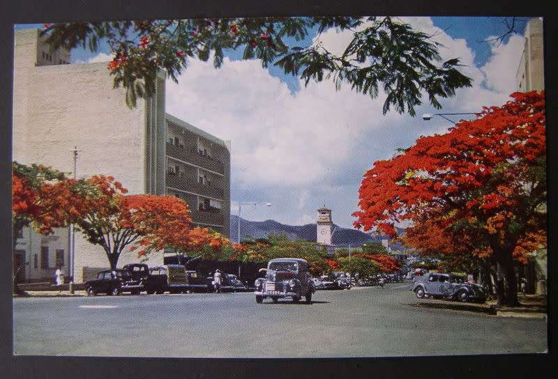E.T. Brown Southern Rhodesian POSTCARD - Flamboyant Trees in Main Street, Umtali