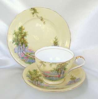 AYNSLEY Trio - Silver Birches and Woodland Flowers